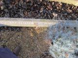 image of grave number 370833